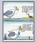 Albert, der Seh-Vogel (2) | B&uuml;cher | Artikeldienst Online